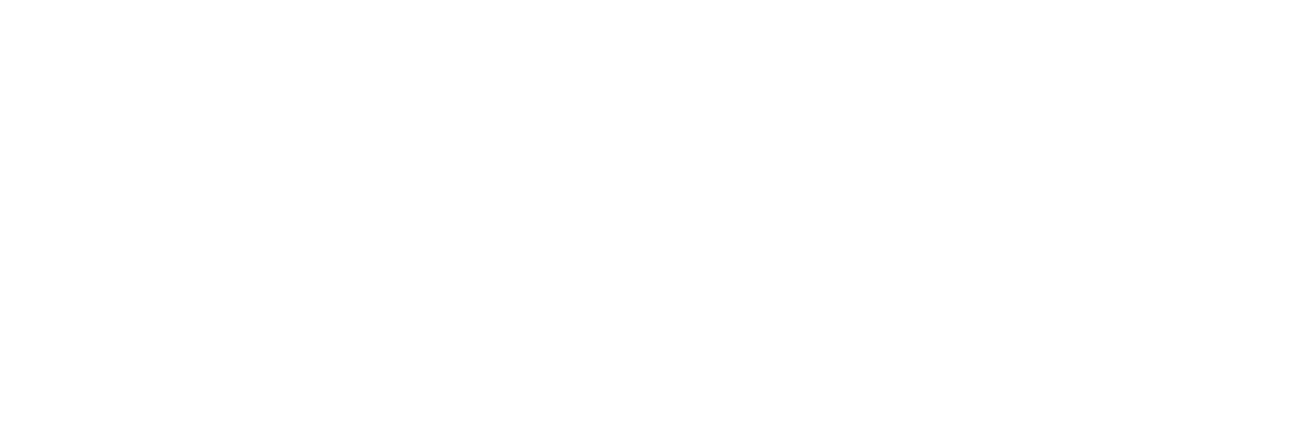 bunee logo
